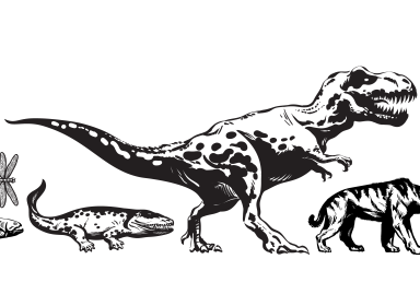 Evolution