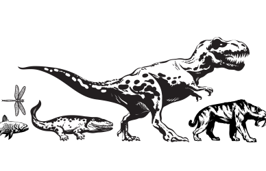 Evolution