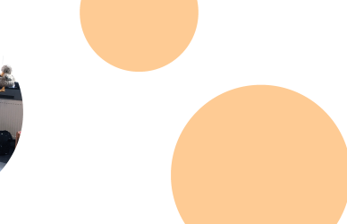 Billede