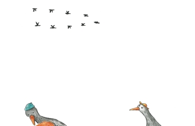 © Sarah Juul
